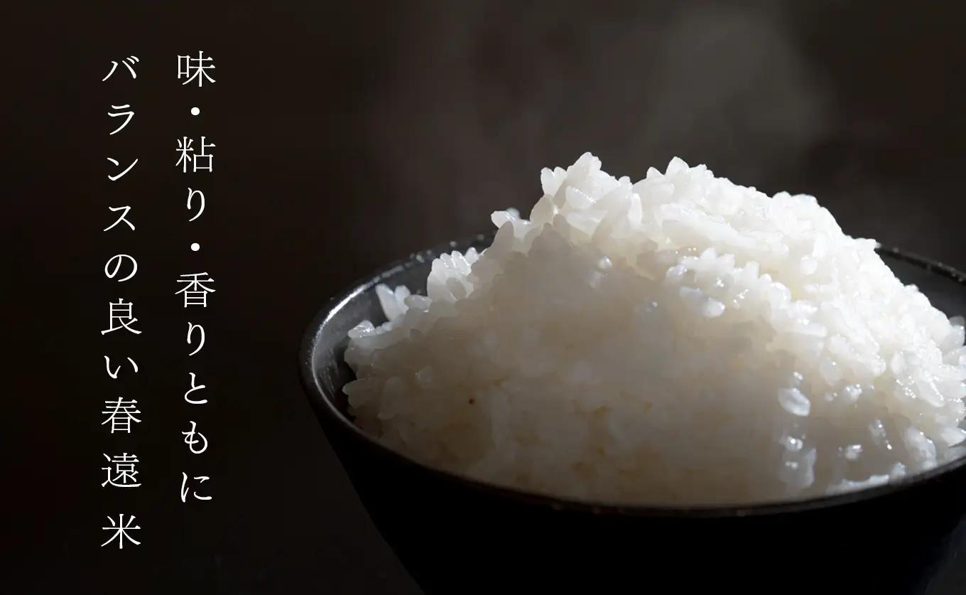 令和8年 新米 ヒノヒカリ 春遠米 5kg 高知県大月町産 精米 白米 10月中旬より順次お届け