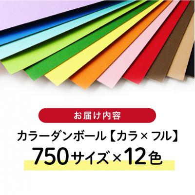 ふるさと納税 可児市 カラーダンボール【カラ × フル】12色セット 750サイズ |  | 01