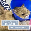 【ふるさと納税】 トリミングチケット ( 猫長毛種 ) 撮影＆レザー迷子札付き トリミングスタジオMOMO | 埼玉県 北本市 トリミングチケット 猫のトリミング ペットサービス ペットケア ペットサロン