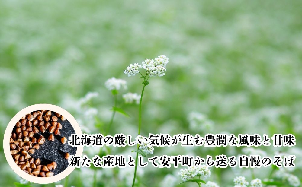 【先行予約】そば 乾麺 北海道安平町産 〈梶原農場謹製そば〉 化粧箱入[200g×5袋]×2箱 【2026年11月下旬頃〜順次発送予定】 5割 同割 小分け お中元 暑中御見舞 残暑御見舞 年末 年越