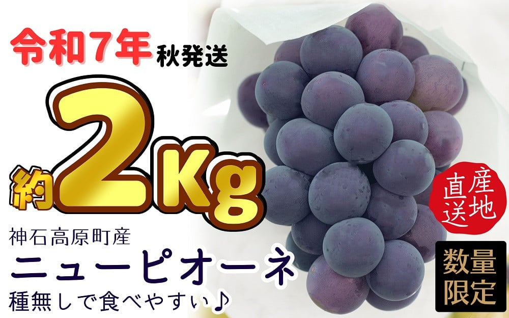 
            【神石高原町産】令和７年産ニューピオーネ約２ｋｇセット【数量限定先行予約】※寄付金の使い道を選択メニューにて「ｎ ｉ ｎ ａ 神 石 高 原」を選択してください。
          