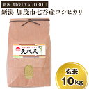 【ふるさと納税】【令和6年産新米先行予約】新潟県加茂市 七谷産コシヒカリ 玄米10kg 《10月下旬～順次発送》 新潟産コシヒカリ 豊かな山水で育った天水米 加茂市 YAGOROU ヤゴロウ