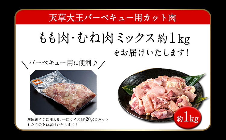 天草大王 バーベキュー用カット肉 1kg 《60日以内に出荷予定(土日祝除く)》 熊本県産 【幻の地鶏】長洲町 もも肉 むね肉