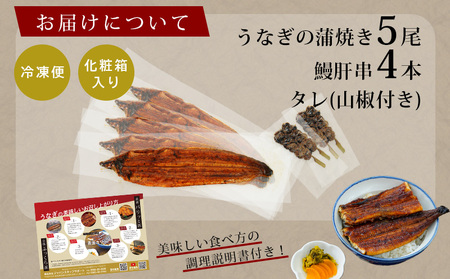 三河産うなぎ「蒲焼き冷凍×5尾（650ｸﾞﾗﾑ以上：100ｸﾞﾗﾑ～160ｸﾞﾗﾑ内）＋鰻肝串2本付き×2袋」・A184