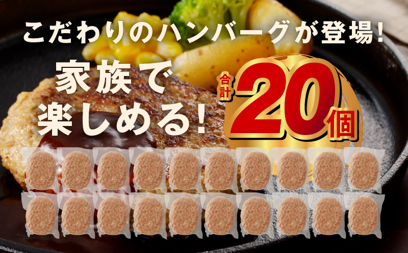 黒毛和牛100％ 極み生ハンバーグ（180g）×20個 CFX0028