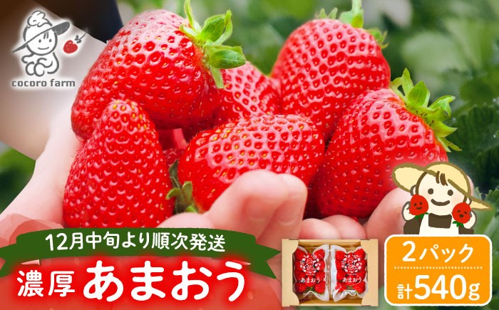 
                  【先行予約】あまおう 540g（270g×2パック） ココロファームの濃厚あまおう【2026年12月中旬～翌4月上旬発送】《豊前市》【ココロファーム】[VAE010] 苺 いちご あまおう 福岡県産
                