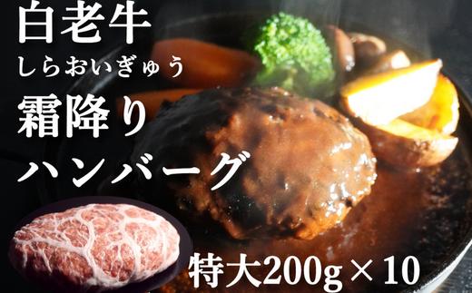 道産和牛ハンバーグ（200g）10個入り 【 ふるさと納税 人気 おすすめ ランキング 北海道産 和牛 ハンバーグ 肉 牛肉 和牛ハンバーグ 牛ハンバーグ 肉厚 デミグラス セット 大容量 詰合せ 北海道 室蘭市 送料無料 】 MROA046