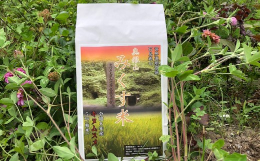 【令和8年産 先行予約】産地直送　源流に育まれた、きぬむすめ米（5kg）【お米 新米 島根県産 精米】