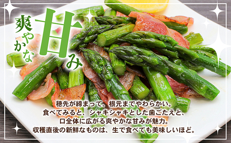 アスパラガス【さぬきのめざめ】夏芽30cmセミロングサイズ1kg グリーンアスパラガス 野菜 柔らかい シャキシャキ 旬の野菜 国産 食材 