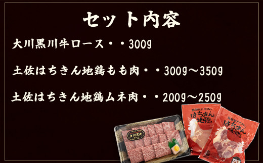 大川 黒毛和牛 ロース 土佐はちきん 地鶏 モモ肉 ムネ肉 3点セット 須崎 高知