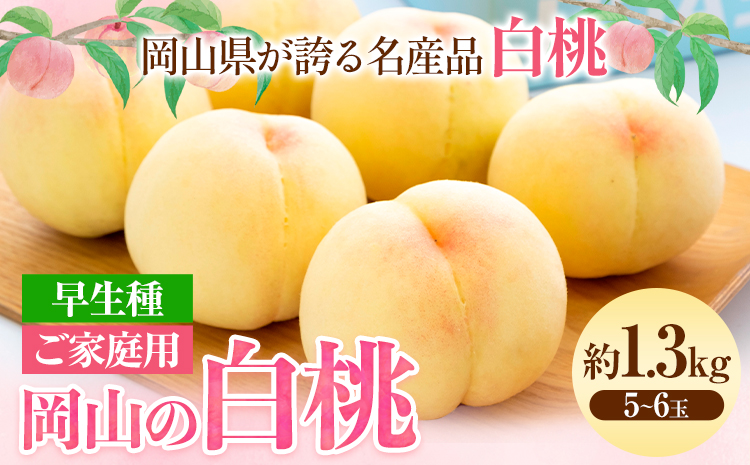 【令和7年度先行予約】ご家庭用 岡山の白桃 （早生種） 約1.3kg 晴れの国 おかやま館(つむぐ株式会社) 《 2025年6月下旬-8月上旬頃発送》岡山県 浅口市 白桃 桃 果物
