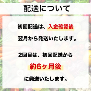 【野菜 定期便 2回】選りすぐり 旬の京野菜 詰め合わせセット 