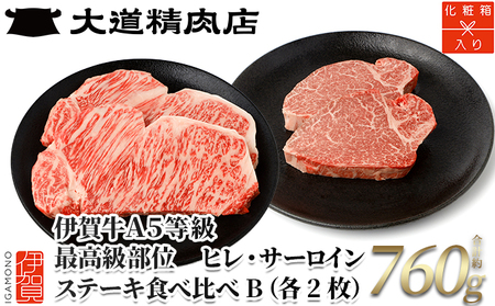 伊賀牛 A5ヒレ・サーロイン 食べ比べステーキセットB 総合計約760g【最高級部位】【dido0026】