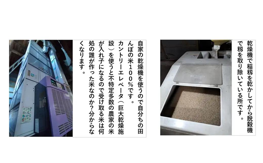 【令和7年産】秋田県産「あきたこまち」玄米5kg（5kg×1袋）　【90P9036】