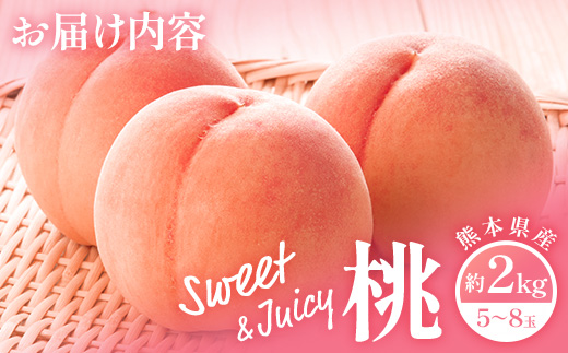 【先行予約】 桃 (5～8玉) 約 2kg 「厳選した桃をお届けします！」 2026年6月下旬～順次発送《 先行予約 受付 桃 もも ピーチ 熊本県 球磨 産 果物 フルーツ 甘い ジューシー 》 0