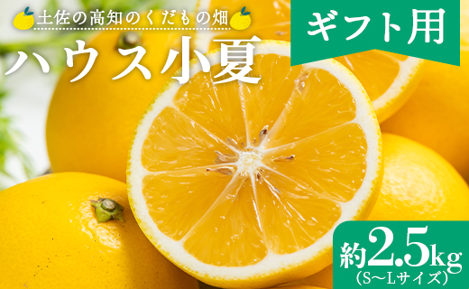 【2026年出荷分】【日向夏】ハウス小夏 2.5kg(ギフト用) 高知 土佐 こなつ 果物 フルーツ 土佐の高知のくだもの畑 【先行予約】 kd-0031