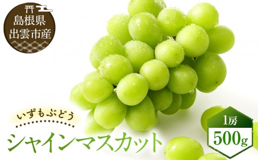 
            いずもぶどう　シャインマスカット(500ｇ見当)
          