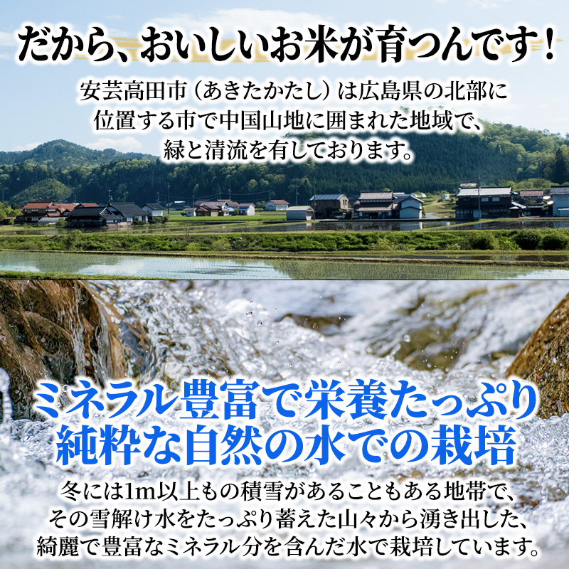 米 【3ヶ月お届け】令和7年産　広島県安芸高田市産ミルキークイーン5kg お米／ミルキークイーン おこめ 定期便 