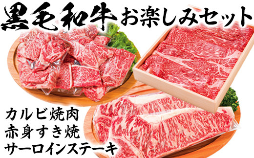 
黒毛和牛 お楽しみセット（カルビ焼肉・赤身すき焼き・サーロインステーキ）【ニード牧場】 お楽しみ 豊後牛 牛肉 お肉 赤身 霜降り すき焼き すきやき ステーキ しゃぶしゃぶ 焼き肉 カルビ サーロイン セット キャンプ バーベキュー ＜129-015_5＞
