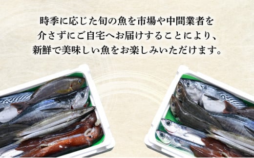 KU070【先行予約受付中】宮崎県串間産 朝獲れ鮮魚セット計約3~4kg(4~5種) 定置網による厳選「朝獲れ鮮魚」を漁師直送! 【合同会社Houryoumaru】
