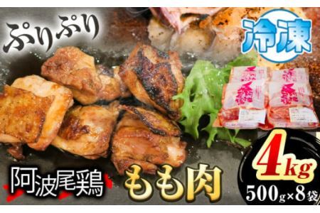 阿波尾鶏 鶏肉 もも肉 500g × 8パック 計4kg 岸農園 《30日以内に出荷予定(土日祝除く)》鶏肉 もも肉 お肉 鳥肉 とり肉 阿波尾鶏 地鶏 大容量 小分け 国産 徳島県産 唐揚げ から揚げ からあげ アウトドア キャンプ 冷凍 もも 肉 便利 送料無料