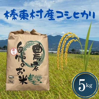 ふるさと納税 榛東村 【令和8年産】お米コシヒカリ(精米) 5kg【ストロベリーみなみ】