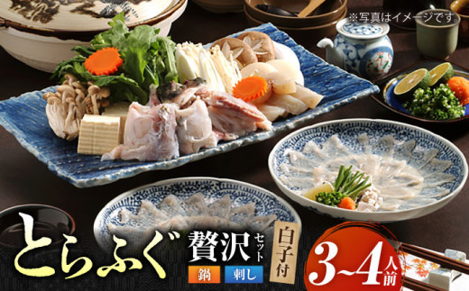 【先行予約】泳ぐ・とらふぐ ＜白子付＞ ふぐ刺・ふぐ鍋セット（3〜4人前） [HAB003]フグ ふぐ ふぐ刺し ふぐ刺身 フグ鍋 ふぐ鍋