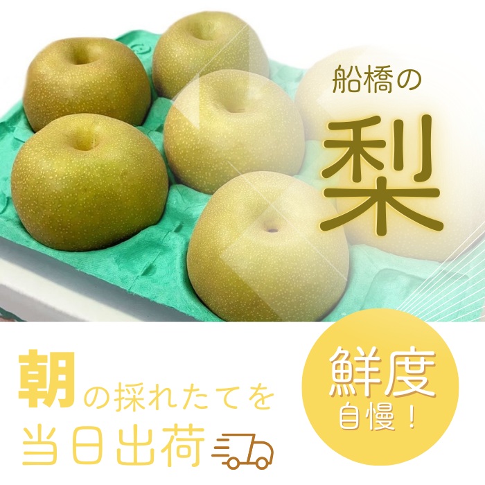 D031-2026 【家庭用】果汁たっぷりの極上梨「あきづき・3kg」（2026年産）