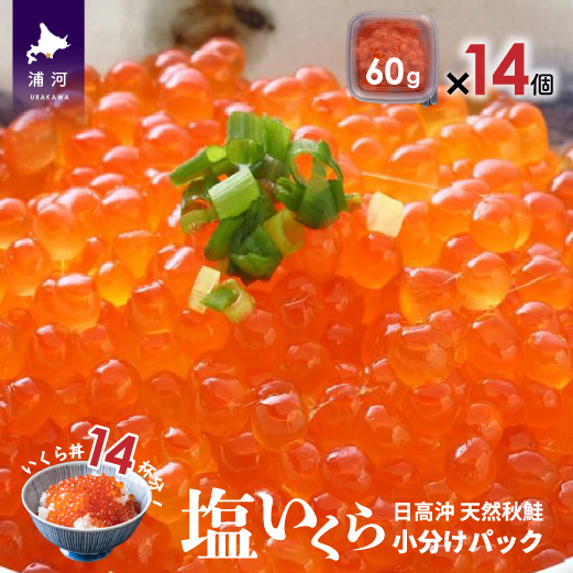 【時鮭スモークサーモン付】北海道日高産 塩いくら小分けパック(60g×14)[15-543]
