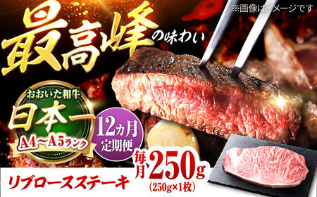 【全12回定期便】おおいた和牛 リブロースステーキ 250g(250g×1枚) /リブロースステーキ リブロースステーキ リブロースステーキ リブロースステーキ リブロースステーキ リブロースステーキ/日田市 / 株式会社OTOGINO[AREF141]