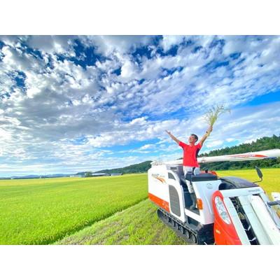 ふるさと納税 村上市 【新米受付・令和8年産米】新潟県村上市産 特別栽培米 新之助 4kg(2kg×2袋)1040009N |  | 01