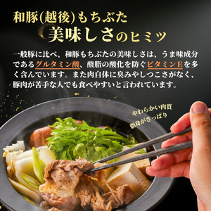 越後もちぶたロース薄切り 1kg(500g×2パック) | ロース肉 新潟県 弥彦村