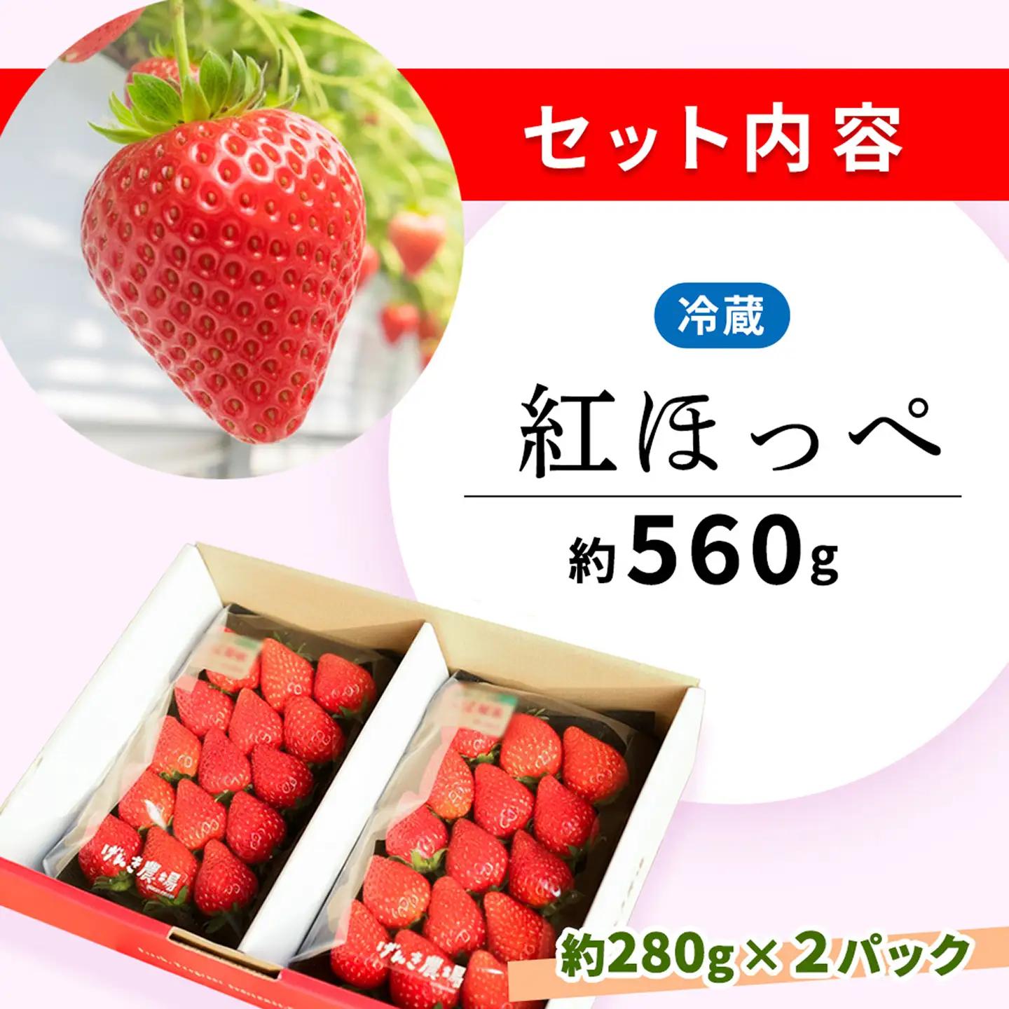 【2027年4月発送】【先行予約】【農場直送！】紅ほっぺ(約280g×2P) K100107