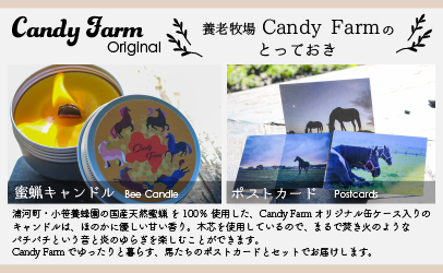 天然蜜蝋100%手作り「キャンドル」＆馬たちの「ポストカード」セット[39-1122]