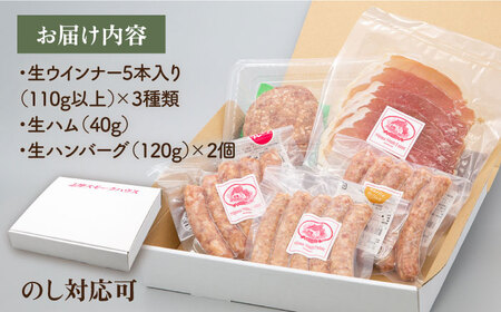 特製 生ハンバーグ 生ハム 生ウインナー 3種 セット 糸島市 / 志摩スモークハウス 肉 加工品 贈り物 [AOA028]