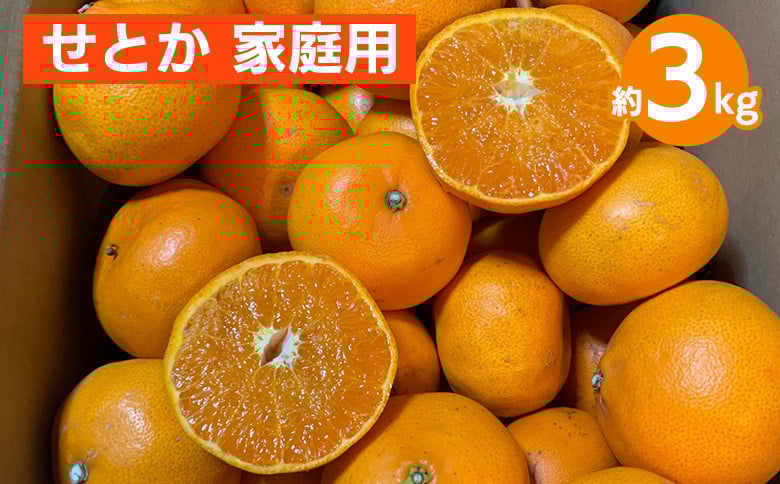
            せとか　約3kg　家庭用 ※2026年2月下旬～4月中旬頃より順次発送予定
          