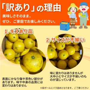 【令和８年５月発送】訳あり小夏3.5キロ（白浜農園の減農薬小夏） 柑橘 みかん フルーツ 日向夏 果物 ワケあり 傷 訳 家庭用 自宅用 特産【R01152】