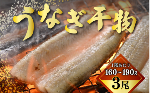 土用の丑の日 国産 うなぎ 干物 約160～190g × 3尾 (計約480～570g) 鰻漁師が厳選！ 皮はパリッ！ 身はジューシー！ グリルで調理簡単 冷凍 【ウナギ 鰻 パリッ ふっくら 新食感 添加物不使用 蒲焼 に代わるうなぎ新定番 父の日 母の日 敬老の日 お中元 お歳暮 ギフト プレゼント】 [m81-d001]