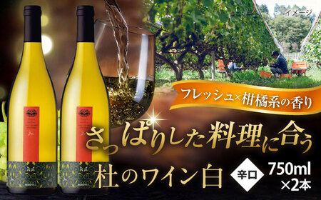 杜のワイン白 2本セット ワイン ワイン ワイン ワイン 奥出雲葡萄園 [AICS053]