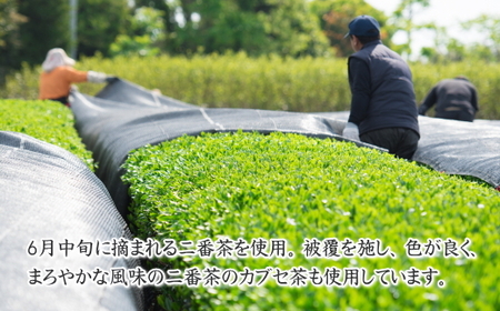 038-12 牧之原茶農家の自家用深むし茶200ｇ×6本