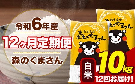 令和7年産 新米【12ヶ月定期便】森のくまさん 白米 10kg 5kg×2袋 計12回お届け《お申し込み月の翌月から出荷開始》 お米 こめ 熊本県産 ご飯 備蓄
