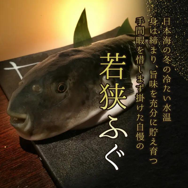 【先行予約/10月15日より順次配送】【着日指定】若狭 ふぐ 料理 セット 4人前 ふぐ【冷蔵】小浜市/まるちゅう広田 [E-042001] [BFAZ007] 