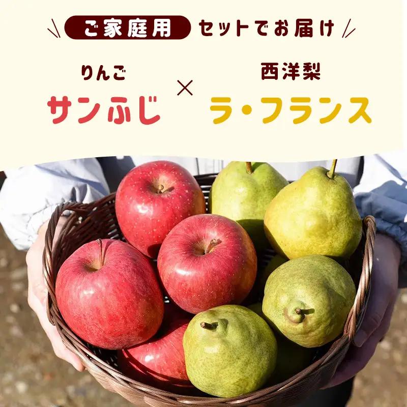 令和8年産 《ご家庭用》りんご と ラ・フランス 秀品 合計 5kg（18 - 20玉） 2026年産 山形県産【2026年12月上旬頃から下旬頃発送予定】　014-B-HK005