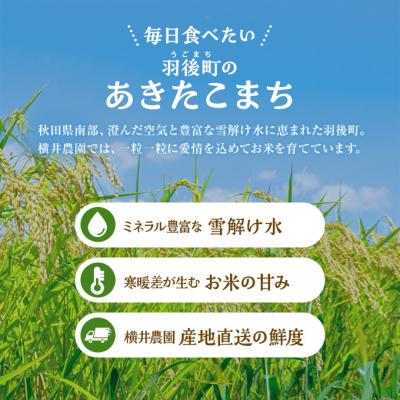 ふるさと納税 羽後町 秋田県羽後町産あきたこまち[No.5325-0432] |  | 01