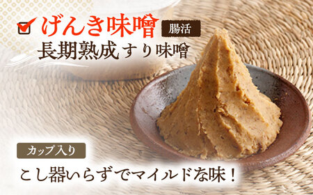 【2回定期便】さきちオリジナル 贅沢腸活3点セット（生あまざけ 100g×30本・手作り糀のげんき味噌・食材のうまみ倍増 塩糀） [OBF037]