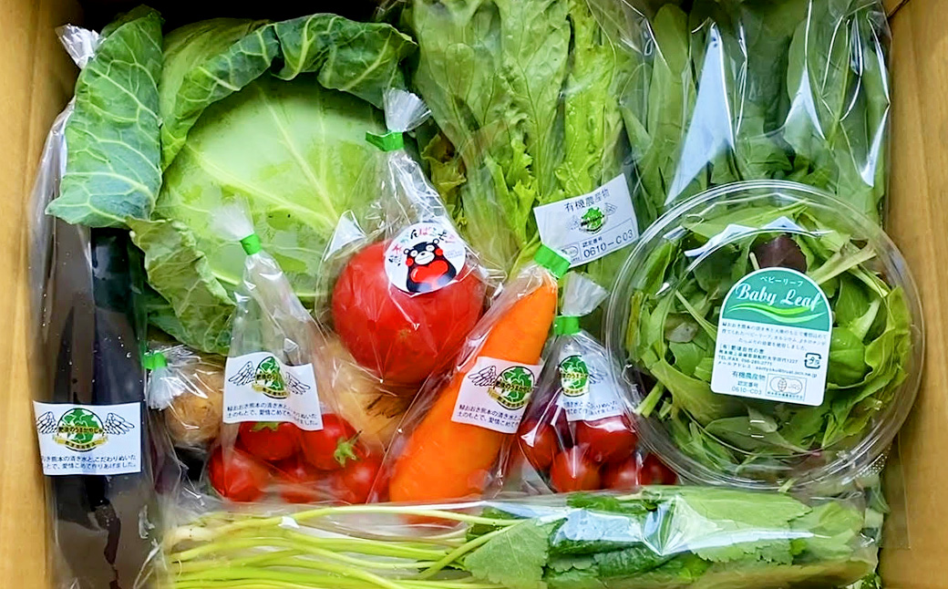 【6か月連続定期便】季節の果物と野菜セット 16品目