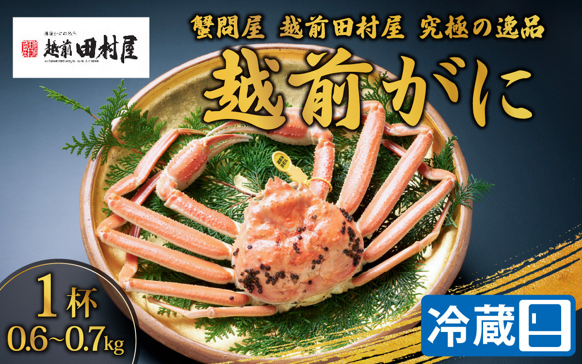 
                  【先行予約】【蟹問屋 越前田村屋 究極の逸品】越前がに（ズワイ）0.6-0.7kg 1杯 [F-029001] / 福井県 福井 オス 雄 ズワイガニ ボイル 冷蔵 越前ガニ 越前がに 越前カニ ずわいがに ずわい蟹 かに カニ 蟹 茹で 姿
                
