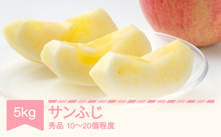 先行予約 2026年産 サンふじ 秀品 約5kg sb-risfx5