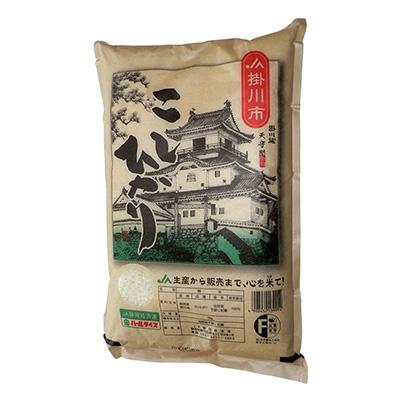 ふるさと納税 掛川市 掛川産こしひかり 精米 5kg |  | 01