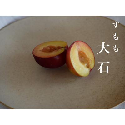 ふるさと納税 南アルプス市 【2027年先行予約】【すもも・大石】甘酸っぱさが魅力の定番すもも 3.0kg 約30~40玉